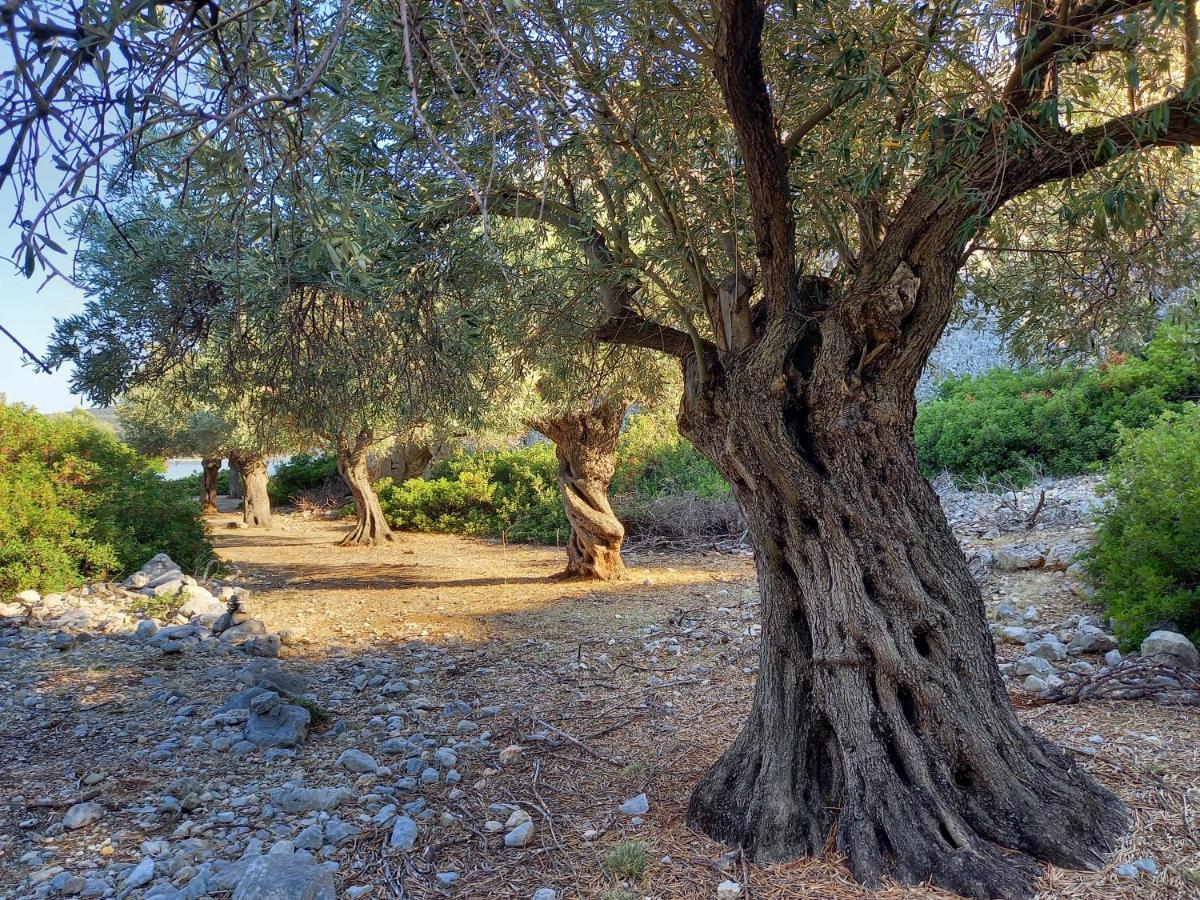 Chelidonia Villa Steni Vala Alonissos Buitenkant foto